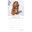 Calendario Cocker Spaniel Inglés 2025