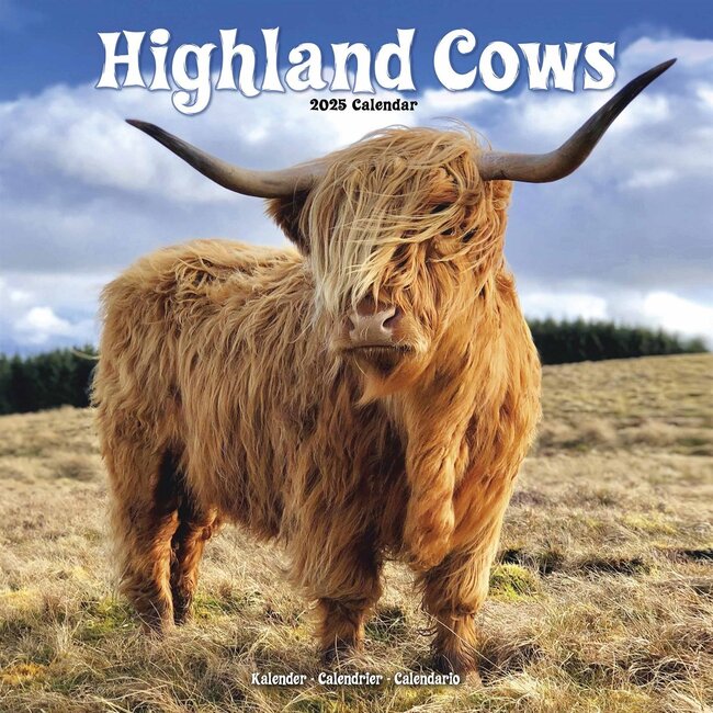 Scottish Highlanders Calendar 2025