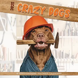 Plenty Gifts Funniest Dogs Calendar 2025