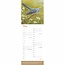 Robert Fuller Calendario della fauna selvatica britannica 2025 Slimline