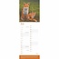 Robert Fuller Calendario de la fauna británica 2025 Slimline