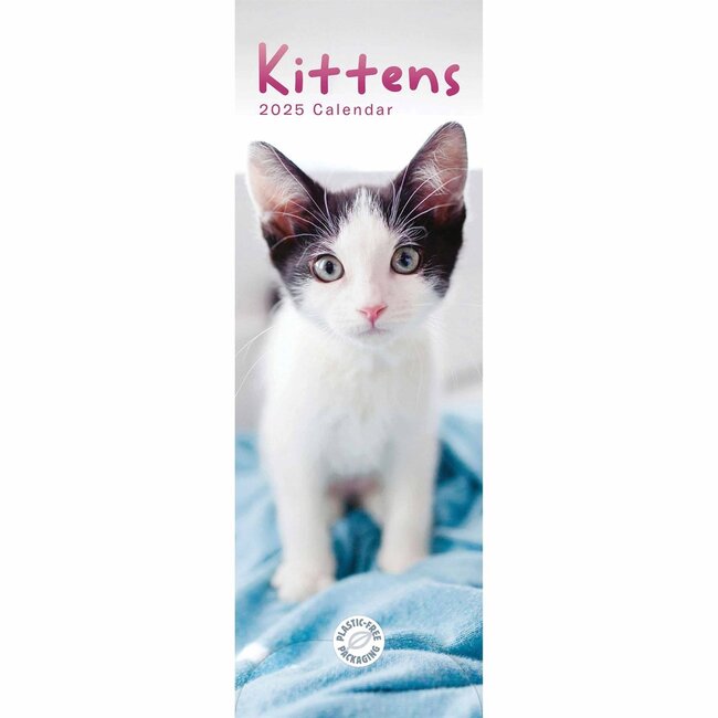 CarouselCalendars Kittens Calendar 2025 Slimline