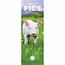 CarouselCalendars Pig Calendar Slimline 2025