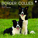 The Gifted Stationary Calendario Border Collie 2025