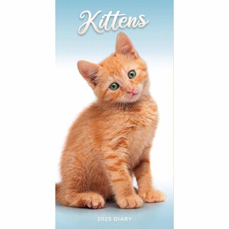 CarouselCalendars Kittens Pocket Agenda 2025