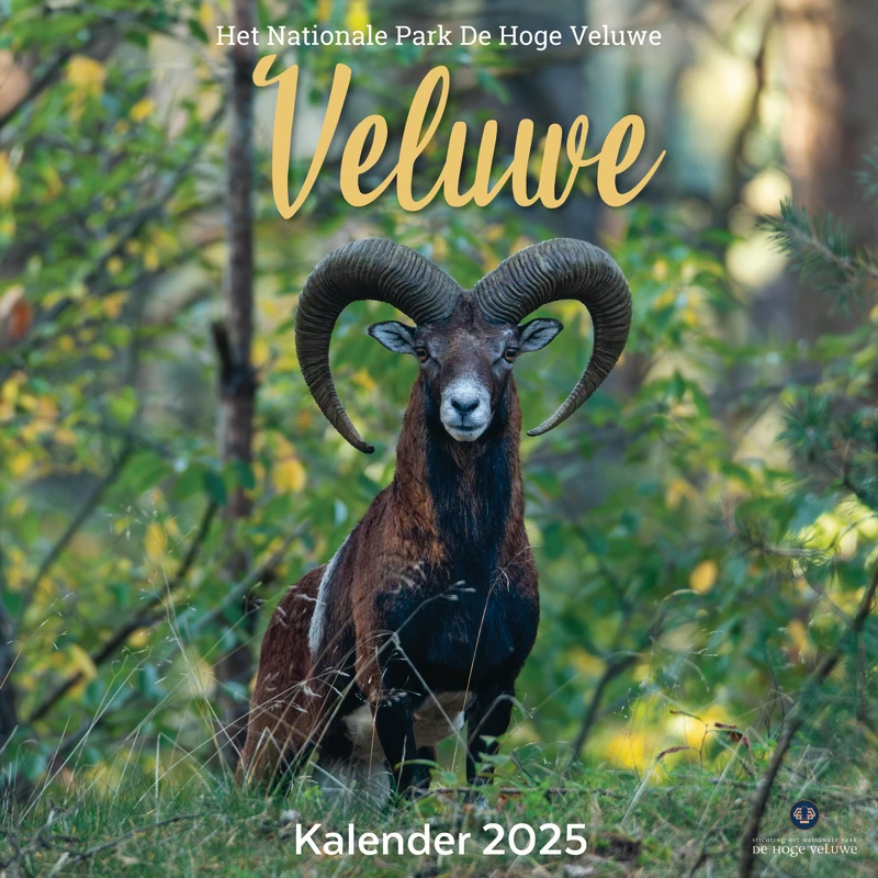 Buying the Hoge Veluwe Calendar 2025? Order online Kalenderwinkel.nl