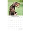 Calendario Dobermann 2025