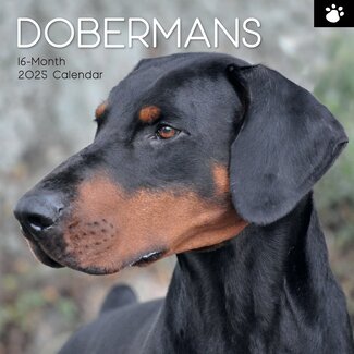 The Gifted Stationary Calendrier Dobermann 2025
