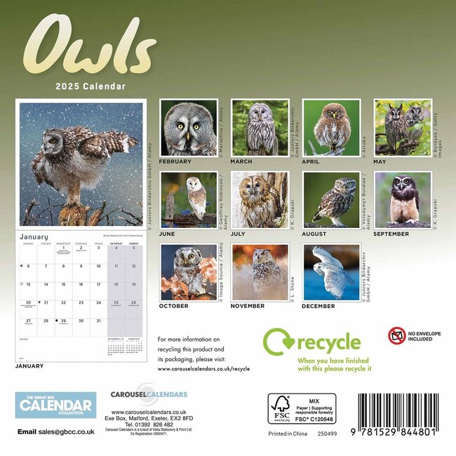 Buying Owls Calendar 2025 simply order online Kalenderwinkel.nl