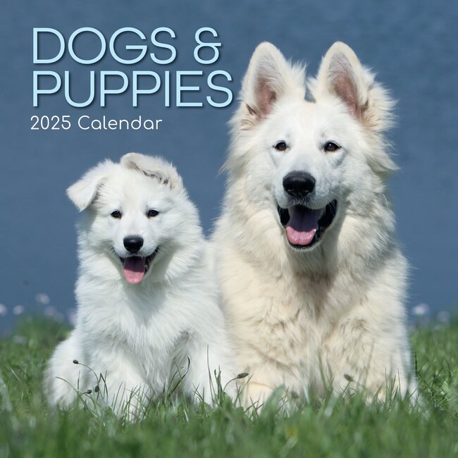 Dogs and Puppies Calendar 2025