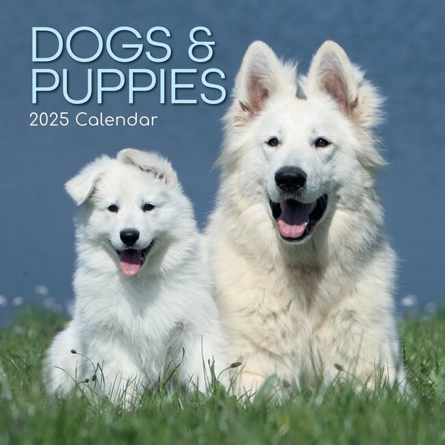 The Gifted Stationary Calendario cani e cuccioli 2025