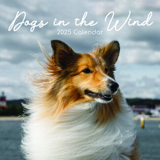 The Gifted Stationary Dogs in the Wind Calendar 2025