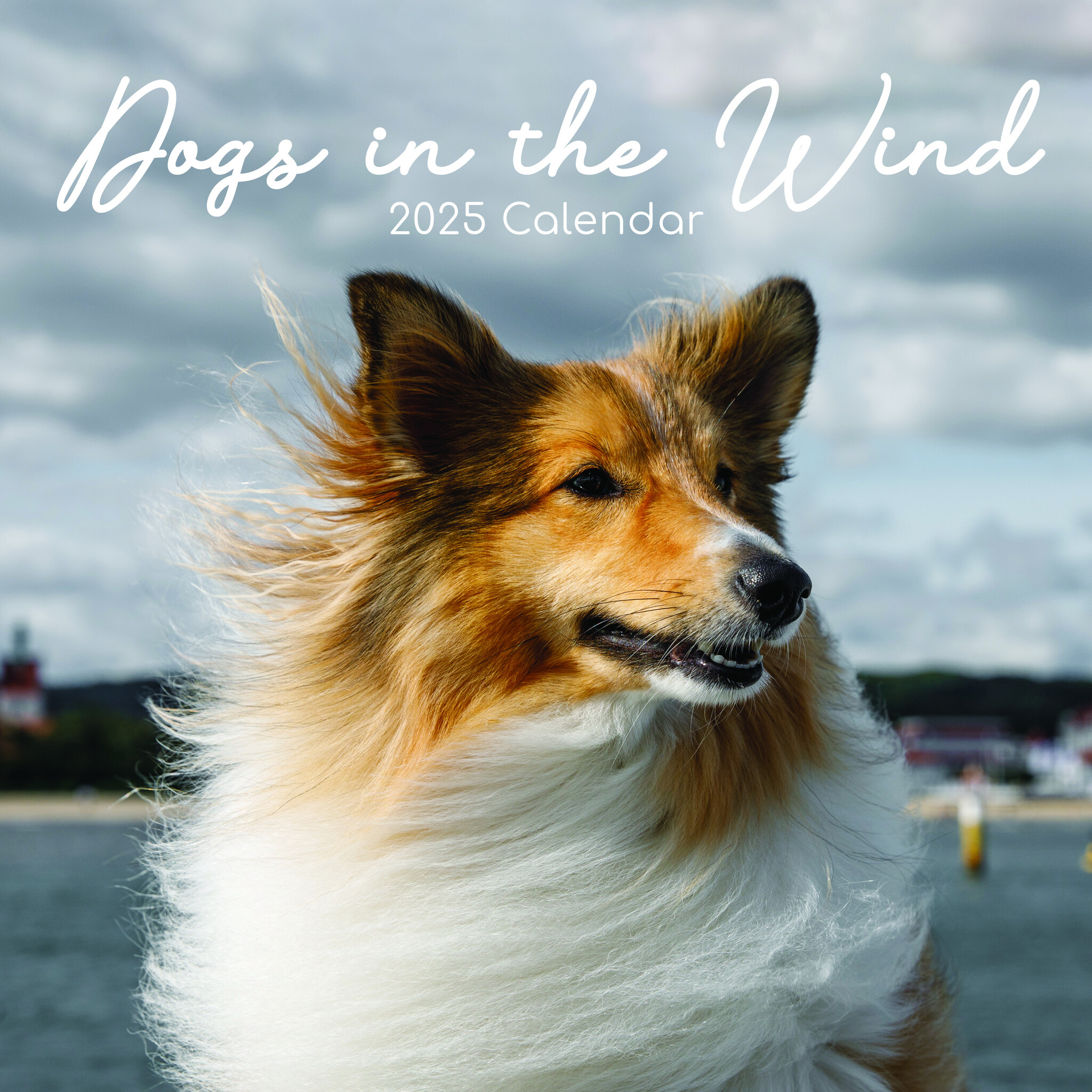 Dogs in the Wind Kalender 2025