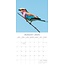 Calendario de aves exóticas 2025