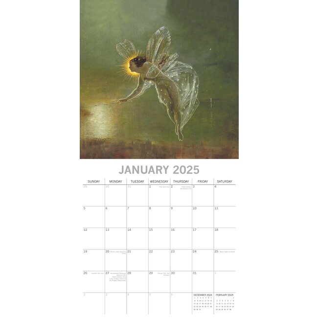 Buying Fairies Calendar 2025? Quick and easy online Kalenderwinkel.nl