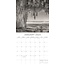 Forces of Nature Kalender 2025