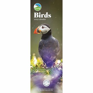 CarouselCalendars RSPB Vögel Slimline-Kalender 2025