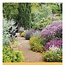 National Trust, Gardens Slimline Calendar 2025