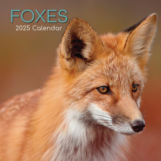 Calendrier des renards 2025