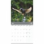 RSPB, Calendrier des oiseaux de jardin 2025