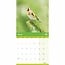 RSPB, Gartenvogel-Kalender 2025