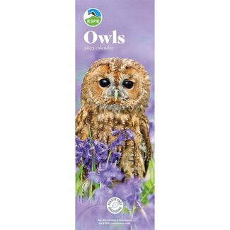 CarouselCalendars RSPB Owls Slimline Calendar 2025