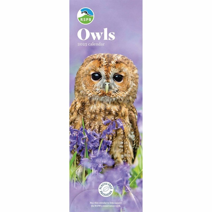 RSPB Uilen Slimline Kalender 2025