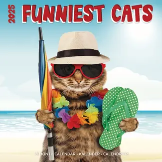 Plenty Gifts Funniest Cats Calendar 2025