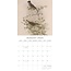 Calendario de aves de jardín 2025