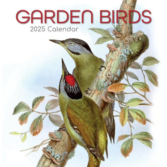 The Gifted Stationary Garden Birds Calendar 2025