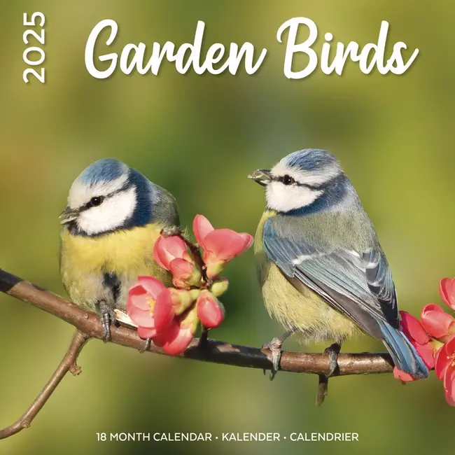 Calendario degli uccelli da giardino 2025