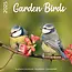 Plenty Gifts Garden Birds Calendar 2025