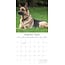 German Shepherd Calendar 2025