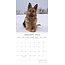 German Shepherd Calendar 2025