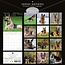 German Shepherd Calendar 2025