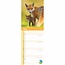 RSPB Wildlife Slimline Calendar 2025