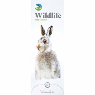 CarouselCalendars Calendrier Slimline RSPB Wildlife 2025