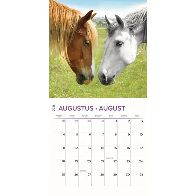 Paarden Kalender 2025 Kopen? Bestel eenvoudig online Kalenderwinkel.nl