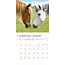 Caballos Calendario 2025