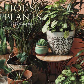 The Gifted Stationary House Plants Kalender 2025