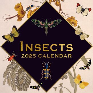 The Gifted Stationary Calendrier des insectes 2025