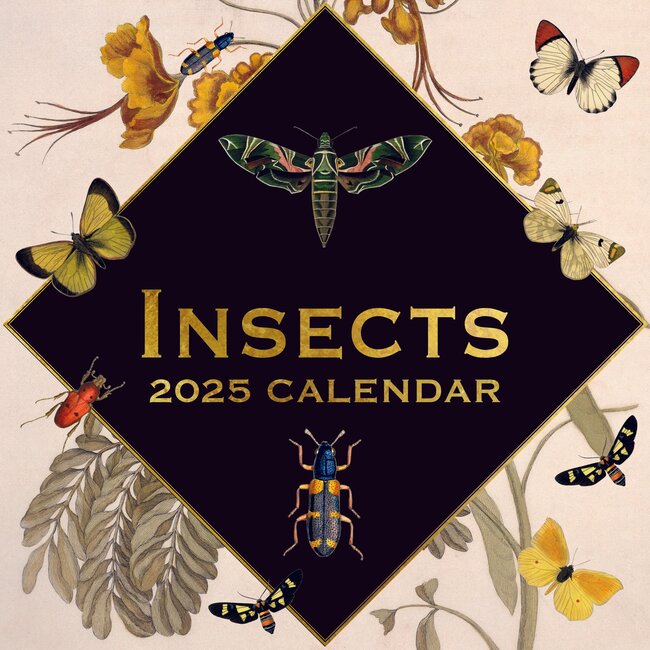 The Gifted Stationary Calendario de insectos 2025