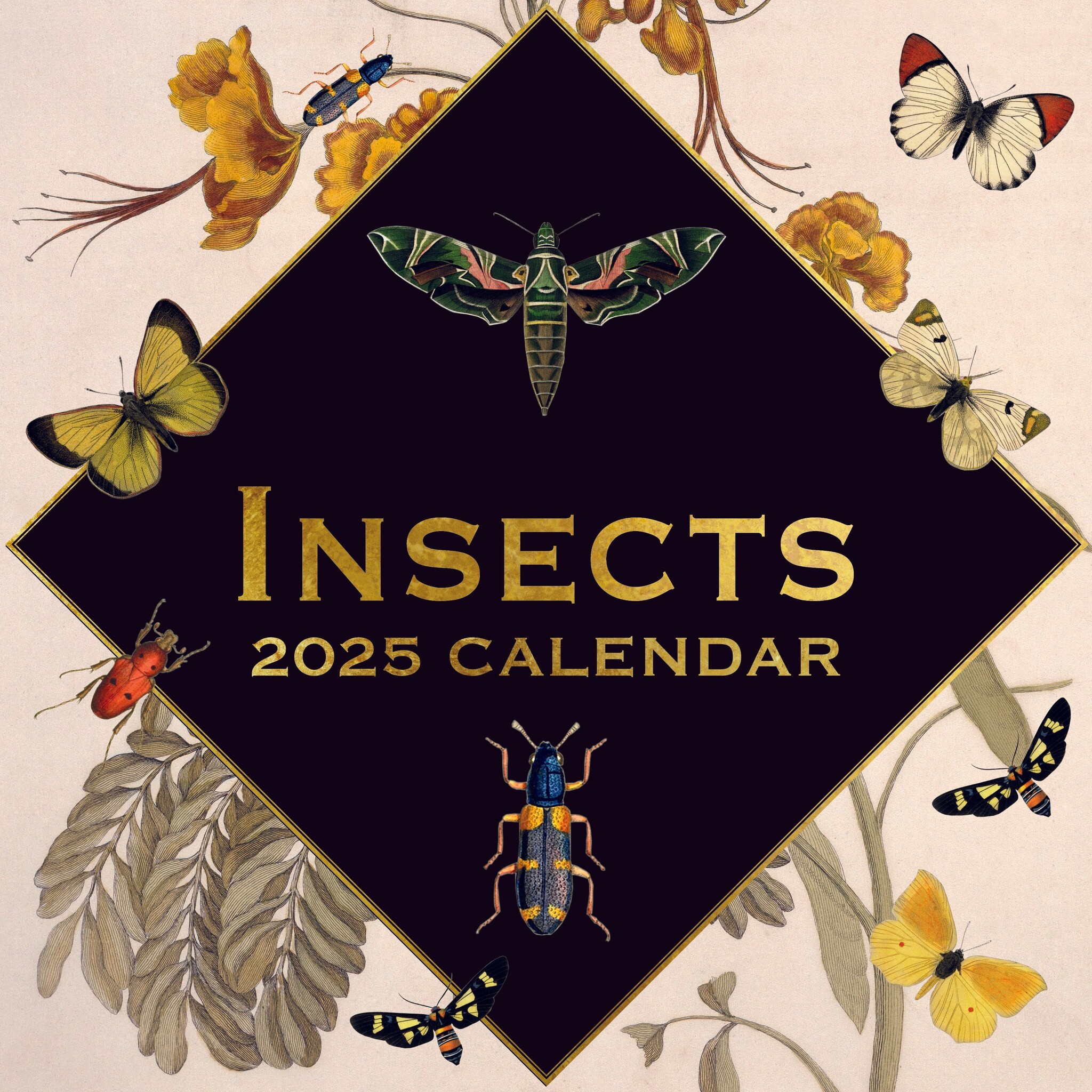 Insects Kalender 2025 Kopen? Bestel eenvoudig Online Kalenderwinkel.nl