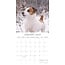 Jack Russell Terrier Calendar 2025