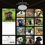 Calendario Labrador Retriever Mixto 2025