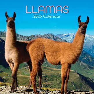 The Gifted Stationary Calendario Llamas 2025