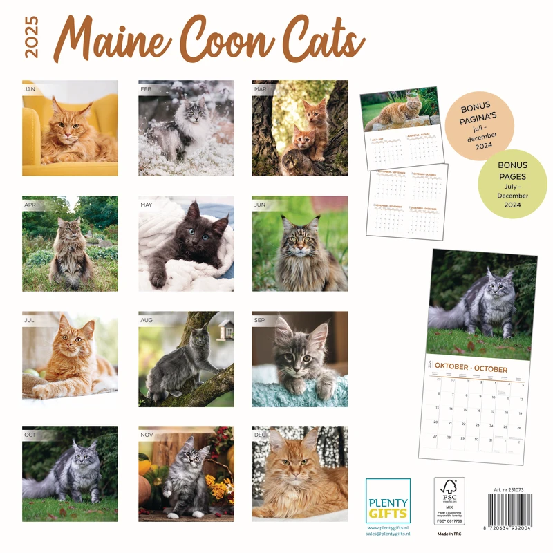 Maine Coon Calendar 2025 Buy order online easily Kalenderwinkel.nl