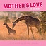 Mother's Love Calendar 2025