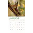 Calendario Natura e Animali 2025