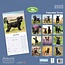 Patterdale Terrier Calendar 2025